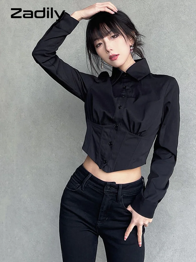 

Women's Long Sleeve Folds ZA Shirt, Street Gothic, Slim Button, Ladies Crop Top, Club Blouse, Female Clothing, Summer, New, 2024