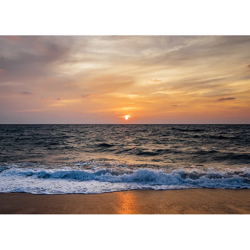 ZHISUXI Summer Tropical Palms Tree Sea Beach Photo Background Scenic Photography Backdrop Photocall Photo Studio 21414XHF-03