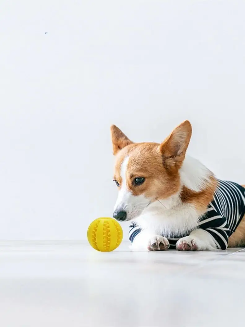 Balles de jouets transfrontalières pour fuite de chien, puzzles de dentition, jouets d'entraînement anti-nuage et mordant