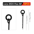 carp-2024-Hse-6