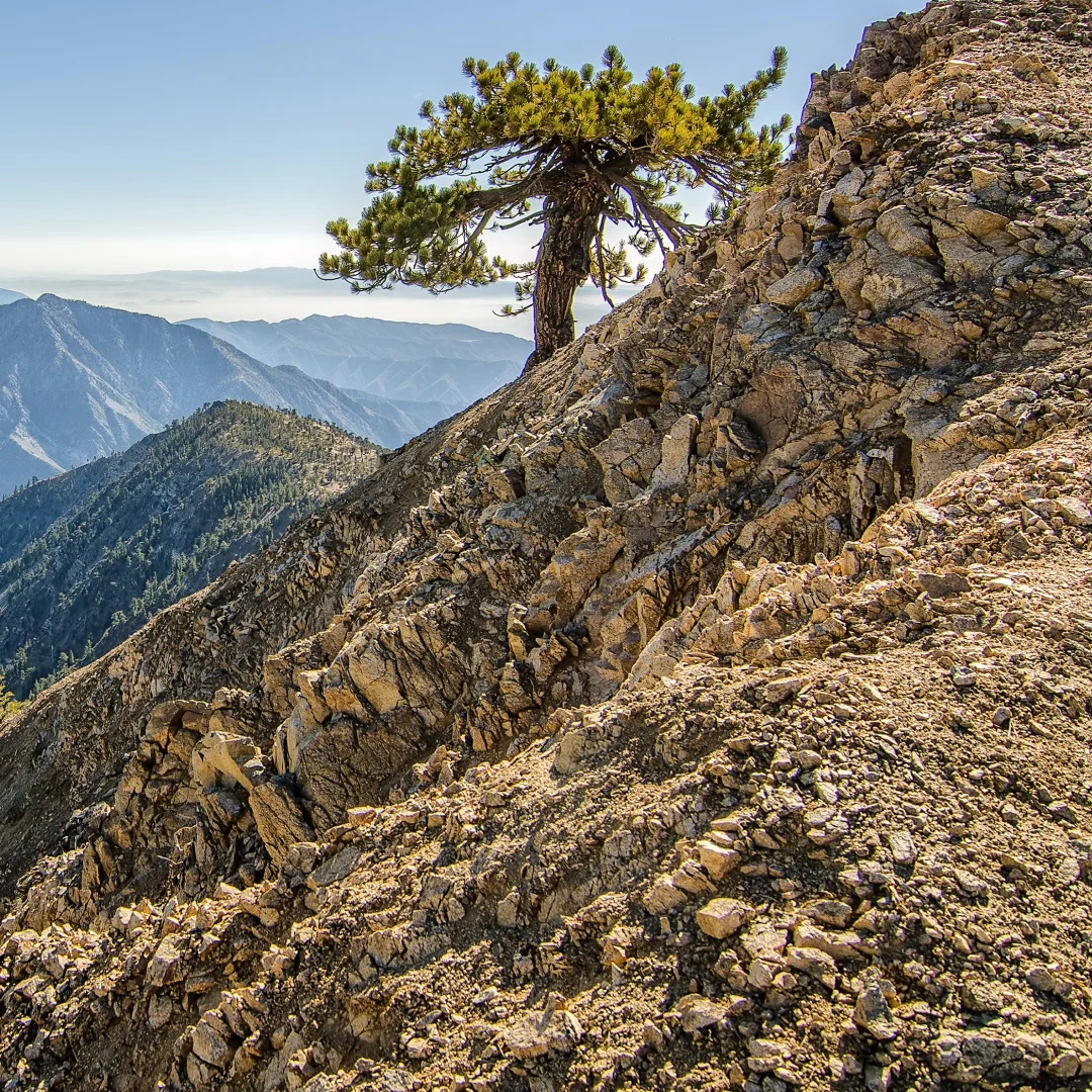 

13,6 "256G Android 14 с вертикальным экраном, автомобильное видео для Lexus LX570 2007-2015, автомобильное радио, GPS, мультимедийная навигация, головное устройство Carplay