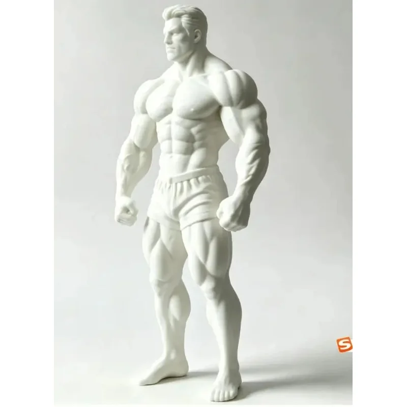 3D printed white model figurine of a muscular and fit man for bodybuilding. Arnold fitness sculpture ornament. 20cm size.