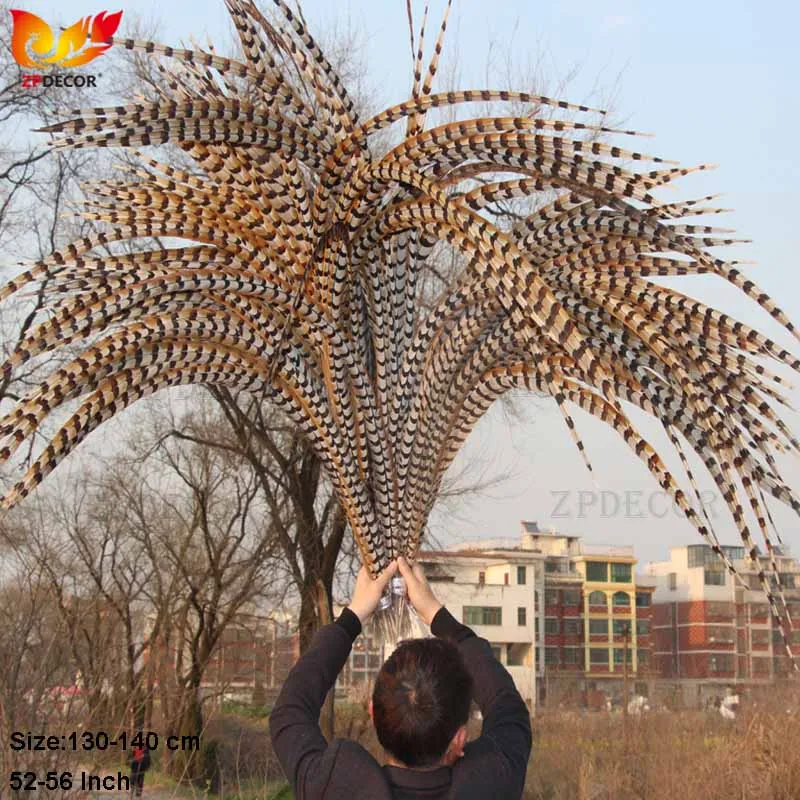 ZPDECOR-Natural Reeves Pheasant Feathers, Wholesale, 130-140cm