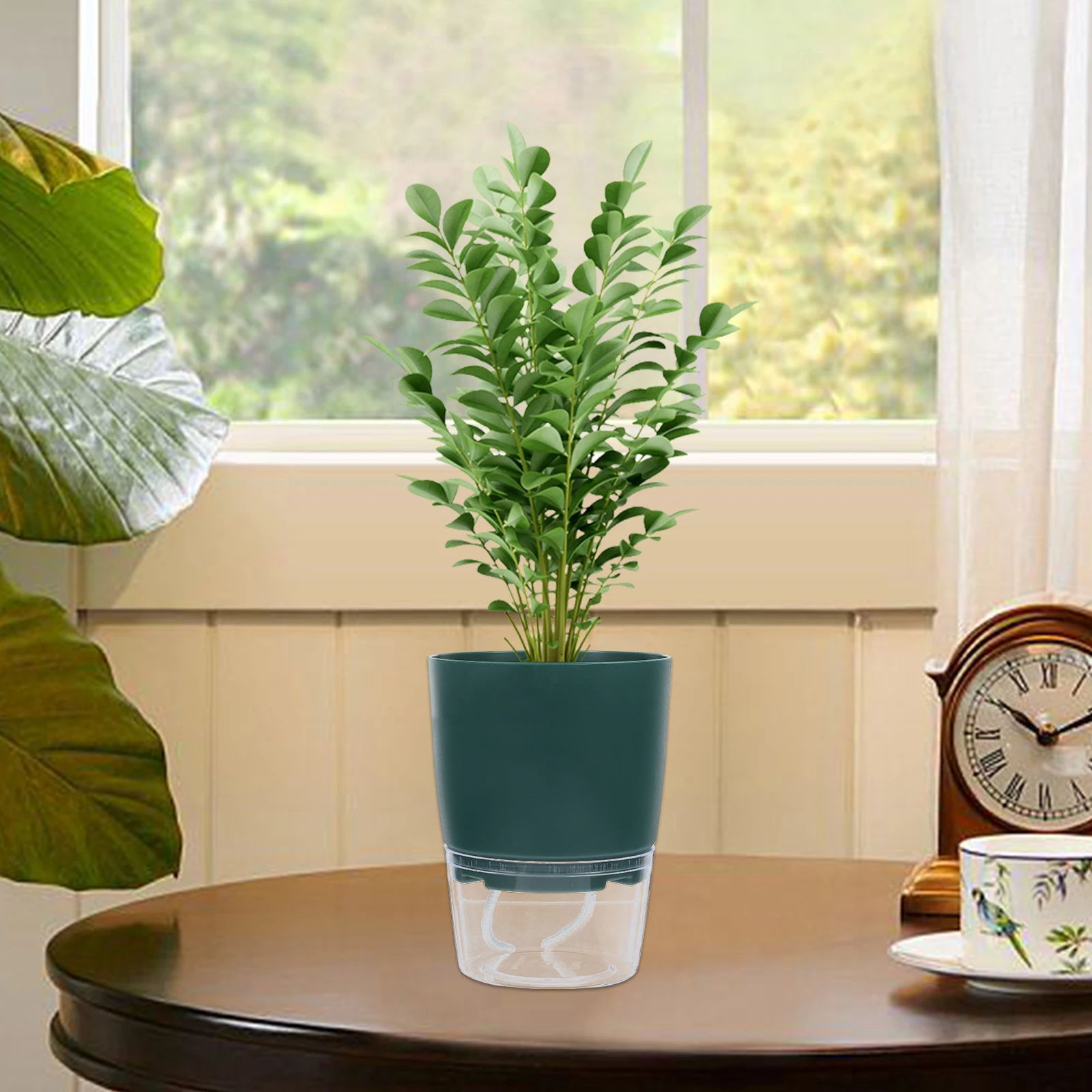 

Automatic Self Watering Planter Transparent Plastic Flower Pot for Soilless Planting Pots Container Gardening