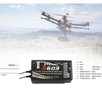 Spektrum DSMX DSM2 6CH 2.4G PPM Receiver for NX8 DX6i DX7 DX8 DSX9 Transmitter RC Aircraft Drone FPV MKron S603 JR