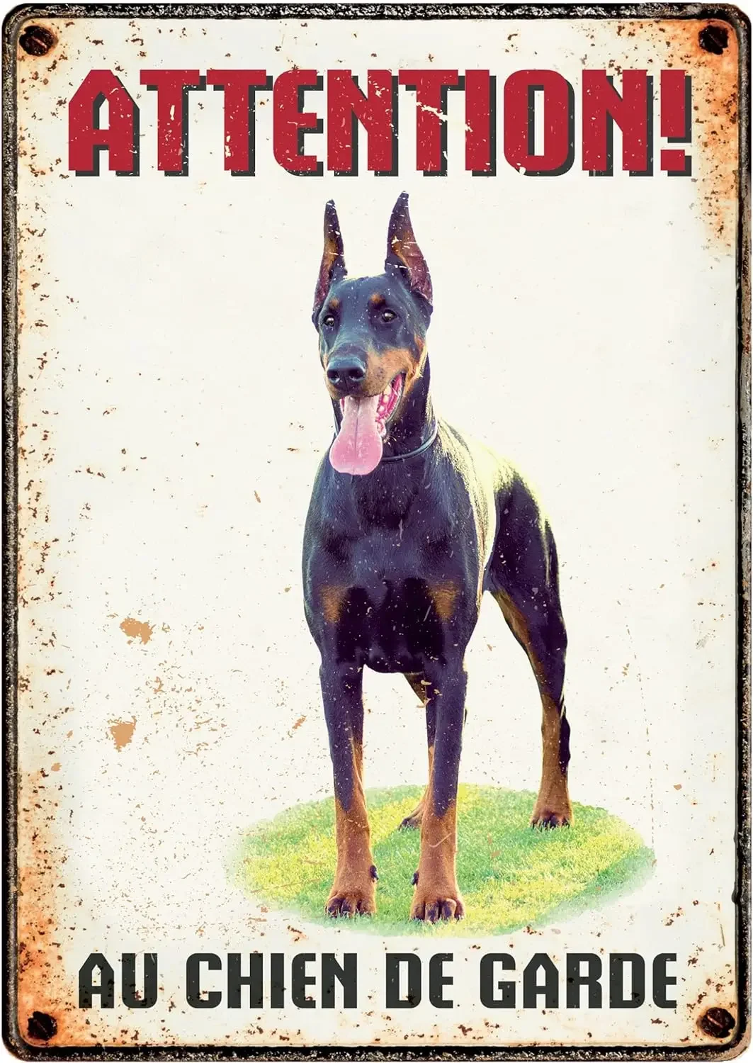 Plenty Gifts Vintage Metal Plate Sign Attention Spoiled Chihuahua,dogs,Jack Russell Terrier,Shih TZU,pets,macroanimal