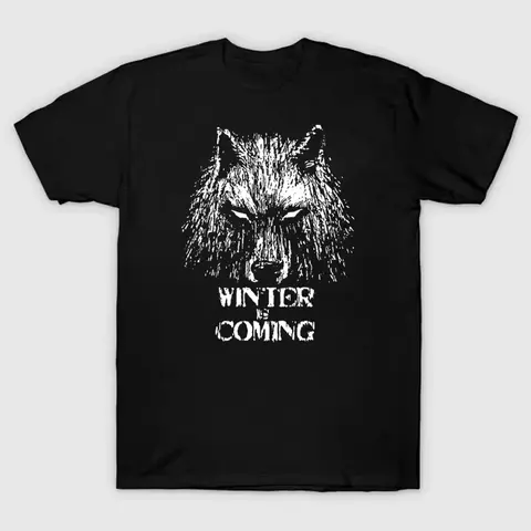 Streetwear Popular Game of Thrones Clothing A Song of Ice and Fire T-shirt Winter Is Coming Short-sleeved Unisex