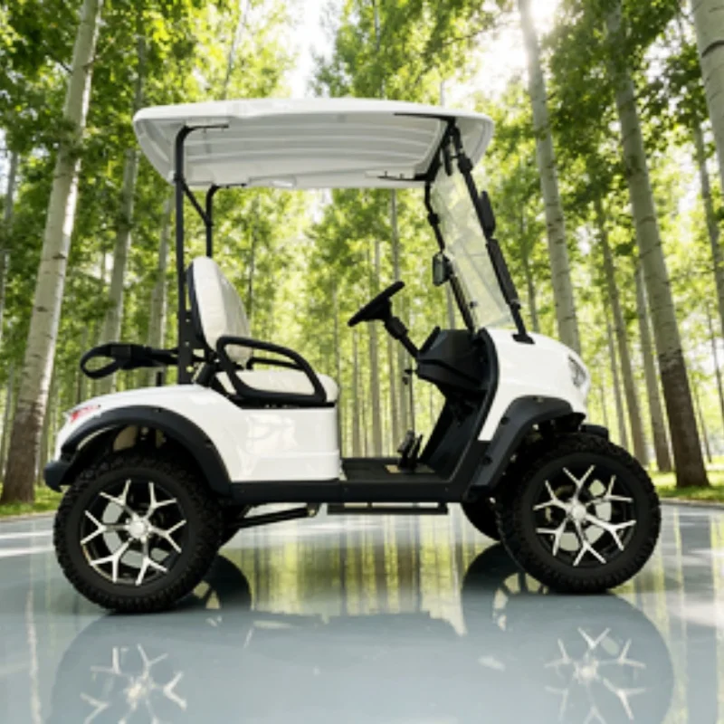 

2026 60 В литиевая солнечная панель 2-местная клубная экскурсионная тележка электрическая тележка для гольфа кузов автомобиля стальной каркас + инженерный пластик из АБС-пластика