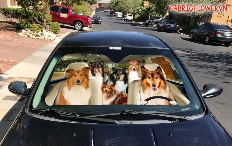 Rough Collie Car Sunshade, Rough Collie Car Decoration, Dog Windshield, Dog Lovers Gift, Dog Car Sunshade, Gift For Mom, Gift Fo