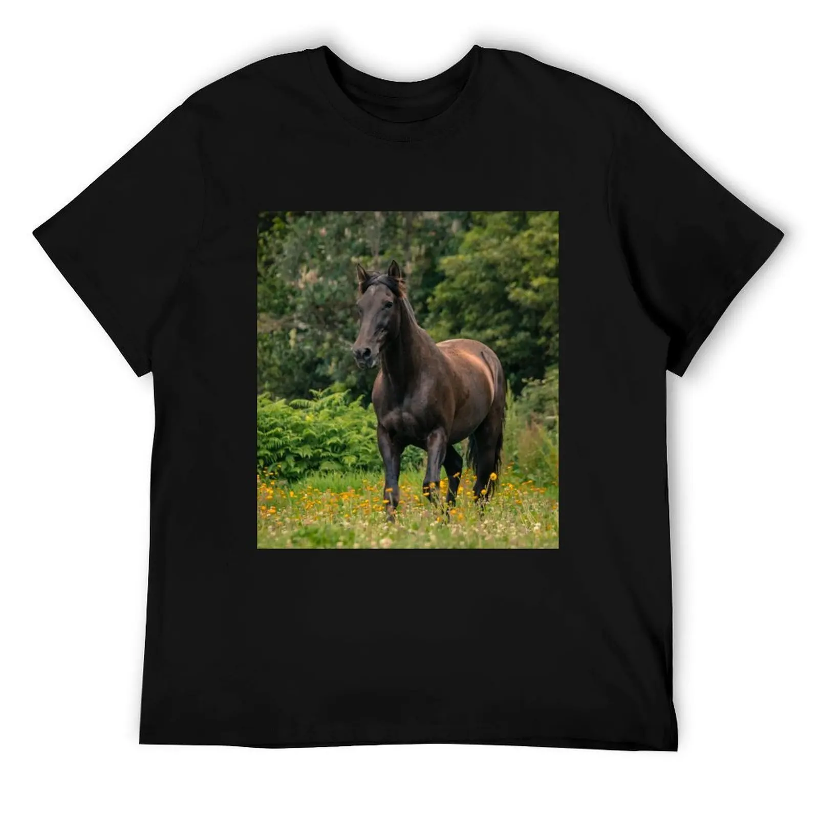 Caballo de cuento de hadas negro, raza Lusitano, corriendo libre al aire libre en el campo de flores. Camiseta anime camiseta