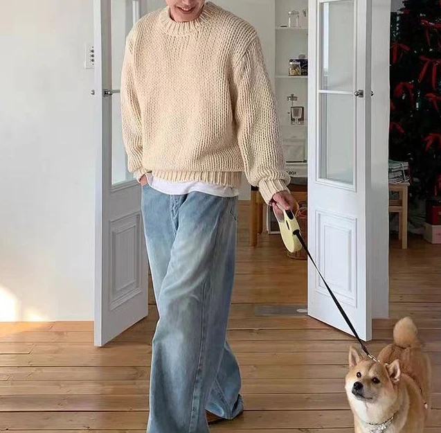 Japanese Lazy Wind Relaxation Sweater Men's 2026 Autumn High-end Trend Loose Casual Knitted Sweater