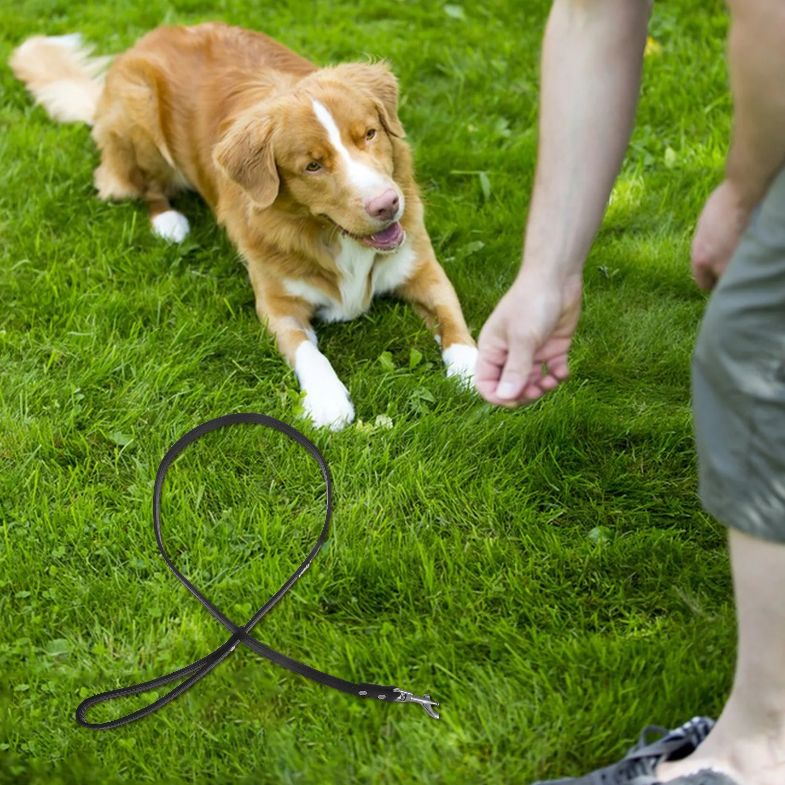 

Dog Pu Rhinestone Studded Flexible Pet For Small Dogs Black Outdoor Hiking Jogging Training Dog Walking Leash Pet