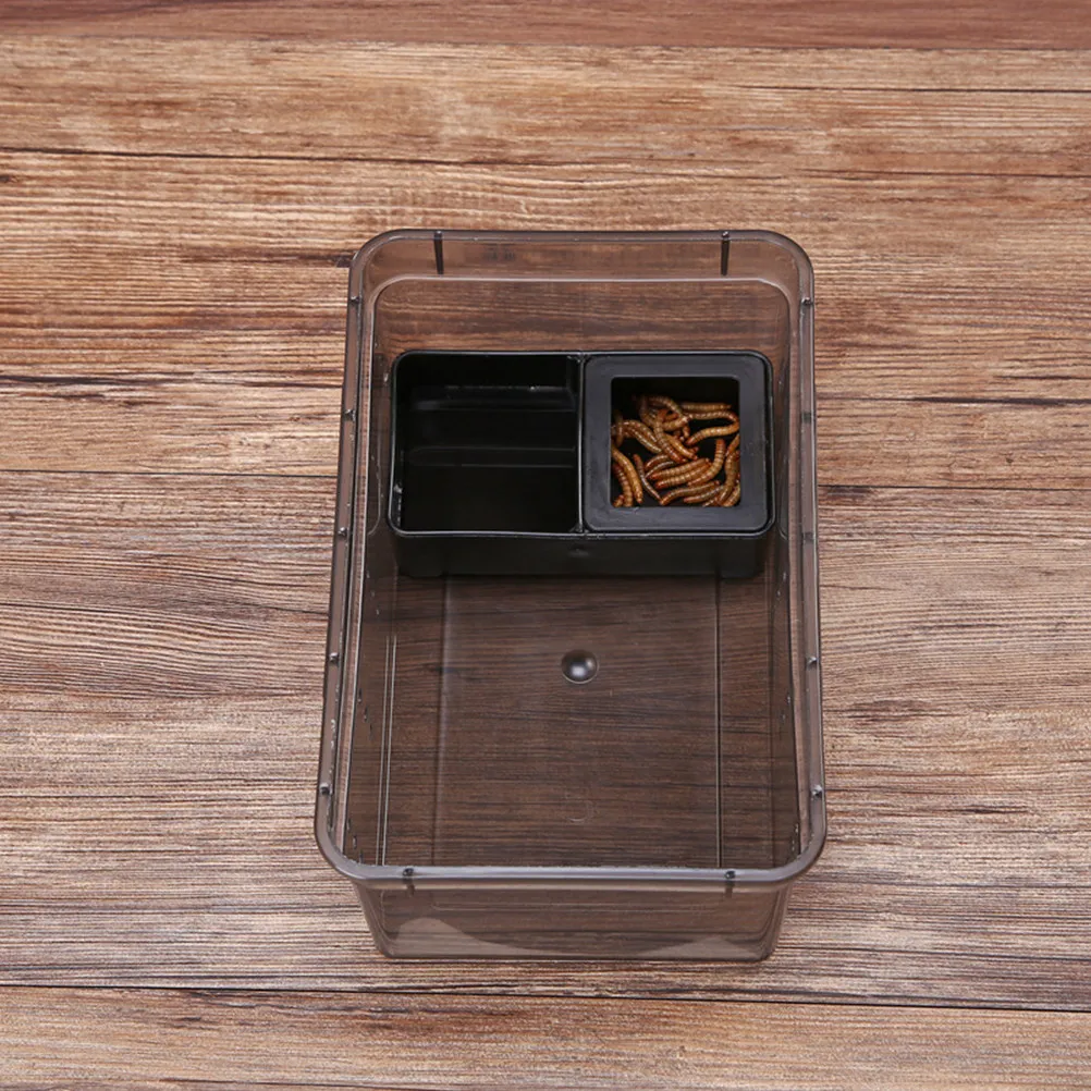 

Набор из 5 вентилируемых безопасных временных контейнеров для разведения рептилий: кормушек для пауков, ящериц, маленьких черепах и лягушек