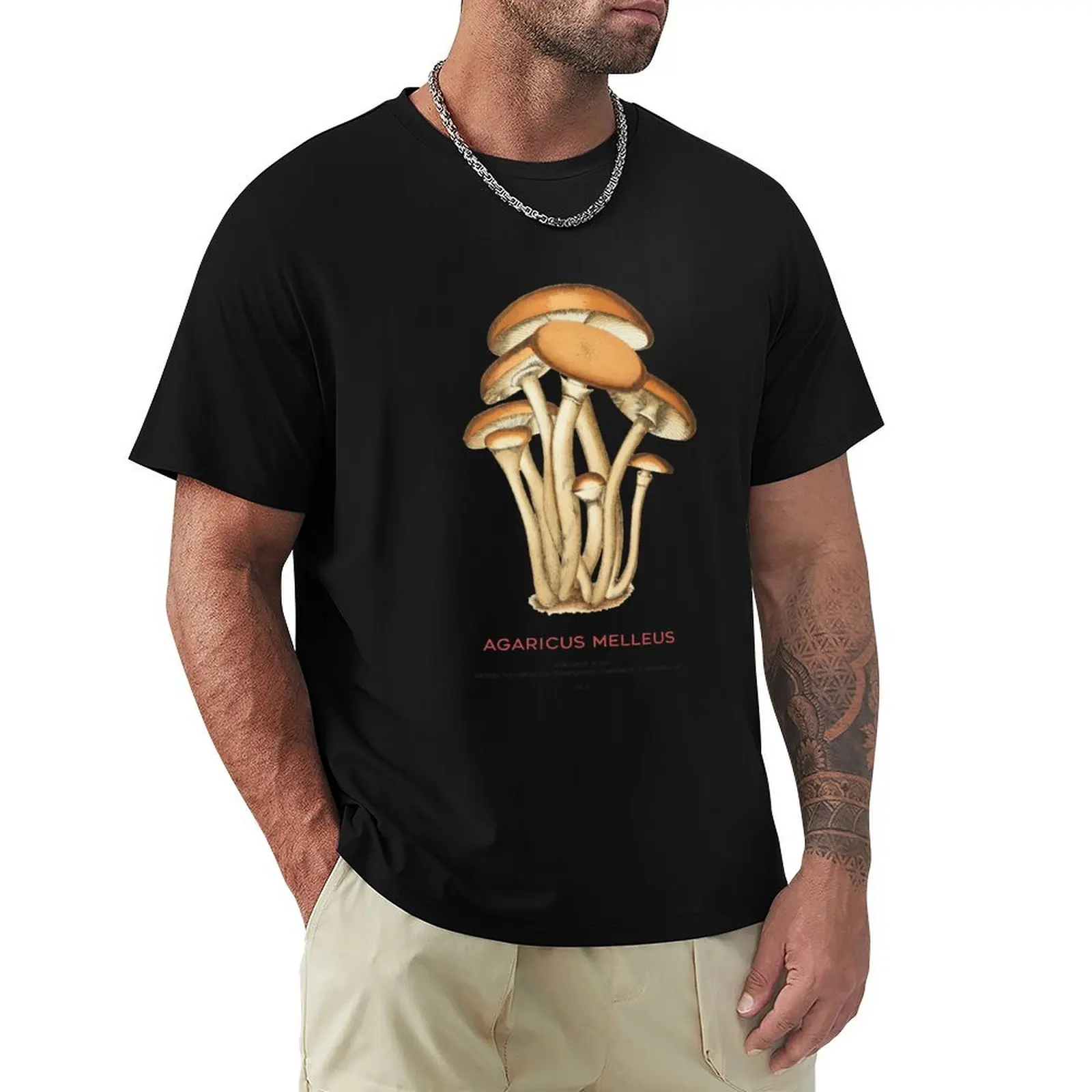 

Honey fungus or Agaricus melleus T-Shirt Moisture Control Sports Tee