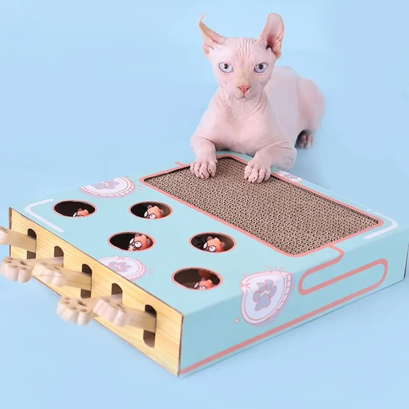 Cat Game Box Maze I… - image