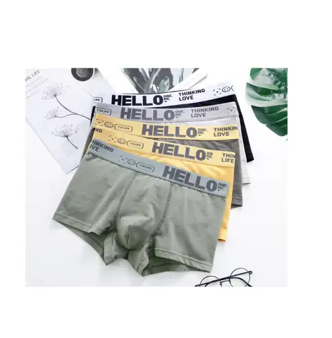 5pcs 남성 속옷 남성 Boxershort 섹시한 언더 팬츠 상쾌한 편안한 통기성 패션 새로운 스타일 Catton Boy Catton Boxers Best5 5pcs 남성 속옷 남성 Boxershort 섹시한 언더 팬츠 상쾌한 편안한 통기성 패션 새로운 스타일 Catton Boy Catton Boxers Best5