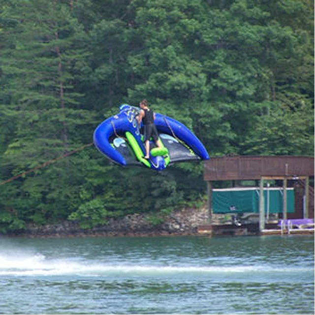 Commercial Infla- Flying Fish Water Tube Towable Water Park Traction Rides for Water Sports Outdoor Activities