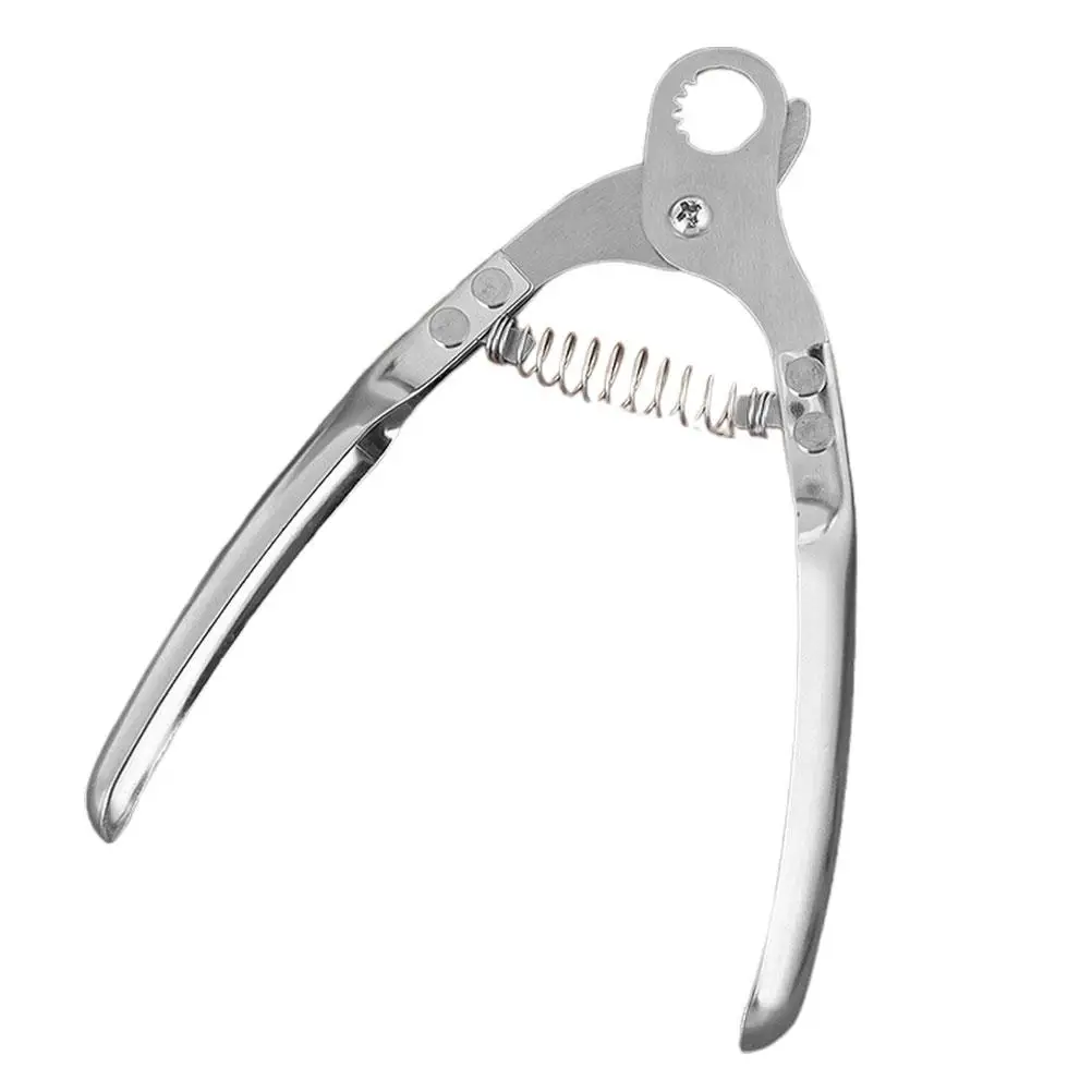 

Stainless Steel Snail Tail Kitchen Tool Escargot Scissors Safe Ergonomic Practical Culinary Aid Snail Handling