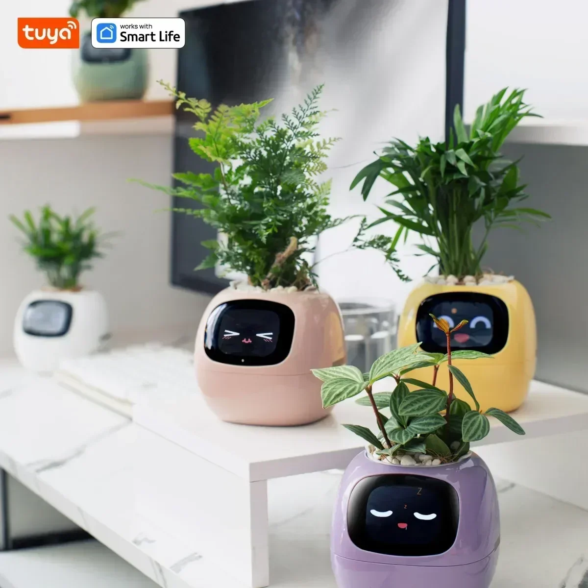 Smart Planter,Endless Fun Over 49 Rich Expressions,7 smart sensors,AI Chips Make Raising Plants Easy and Fun hamster supplies