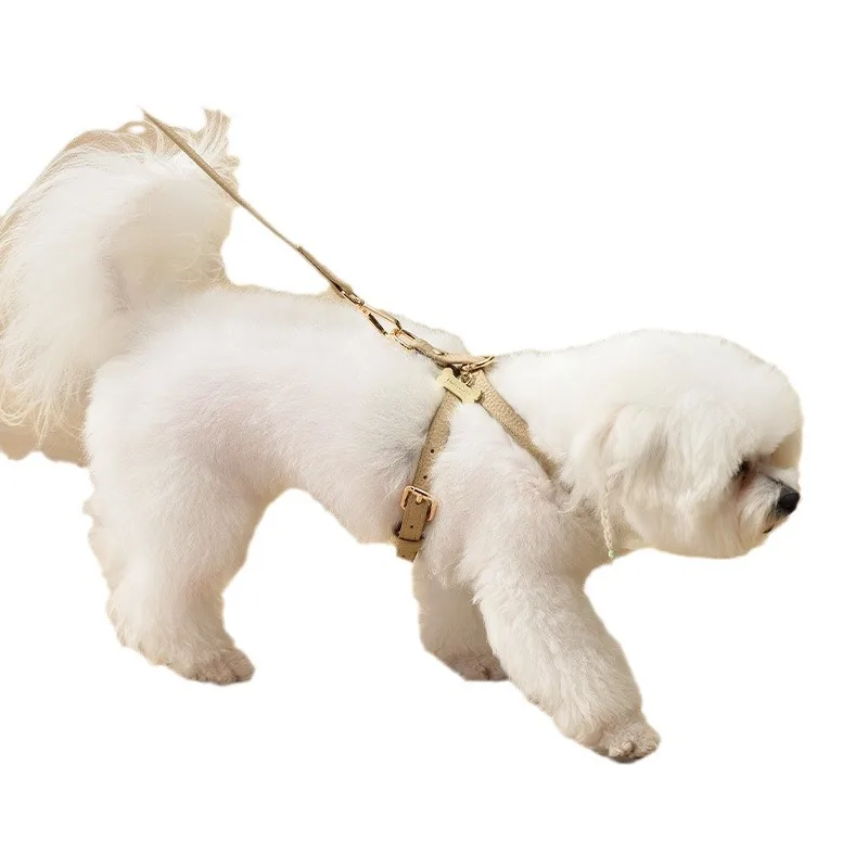 

Pet Outing Leash Dog Leash Cat Collar Chest Strap Cat Dog, Summer Rabbit Accessories Pet Conejos Accesorios