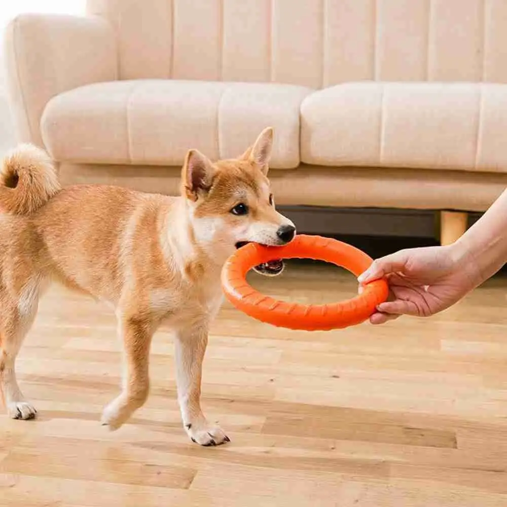 Dog Toys Pet Flying Disk Training Ring Puller Anti-Bite Floating Interactive Supplies Dog Toys Aggressive Chewing