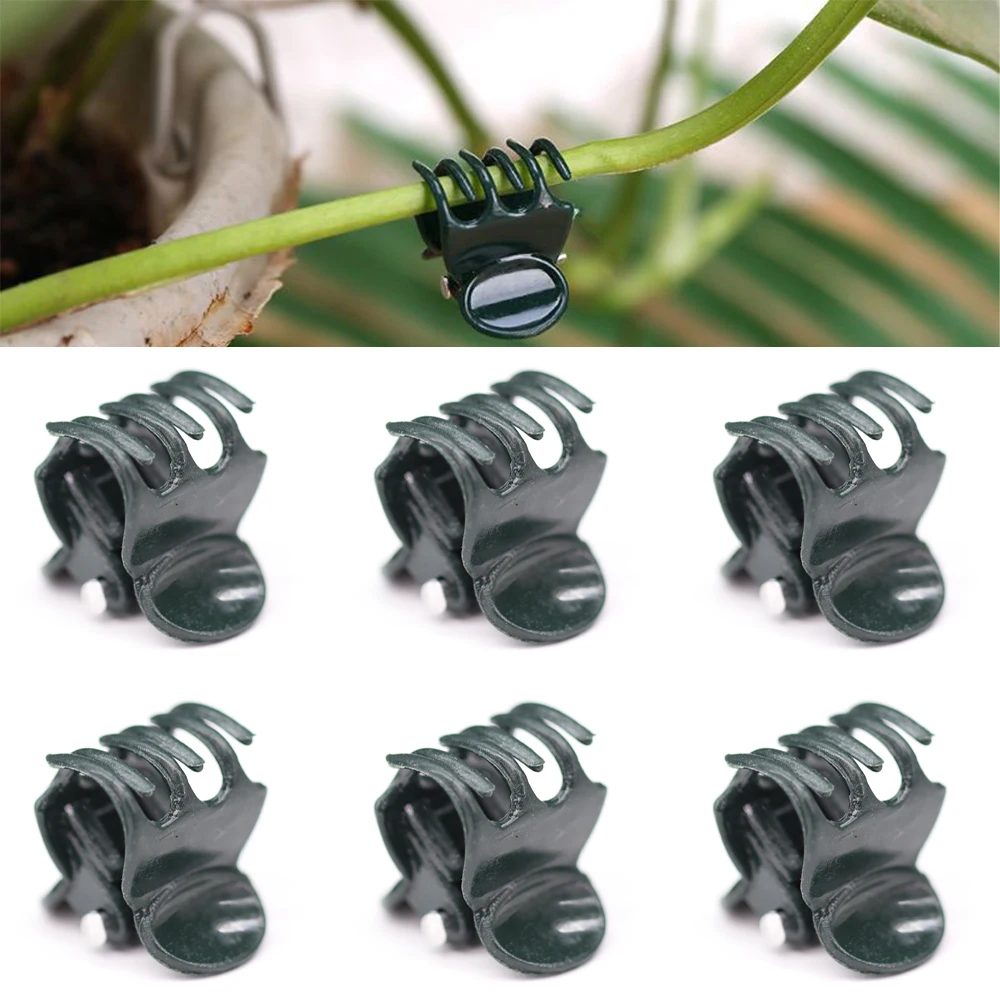 50PCS Dark Green 6-Claw Orchid Support Clamp Plant Clip Strong Cute Climbing Vine Stem Clasp Tied Bundle Branch Gardening Tool