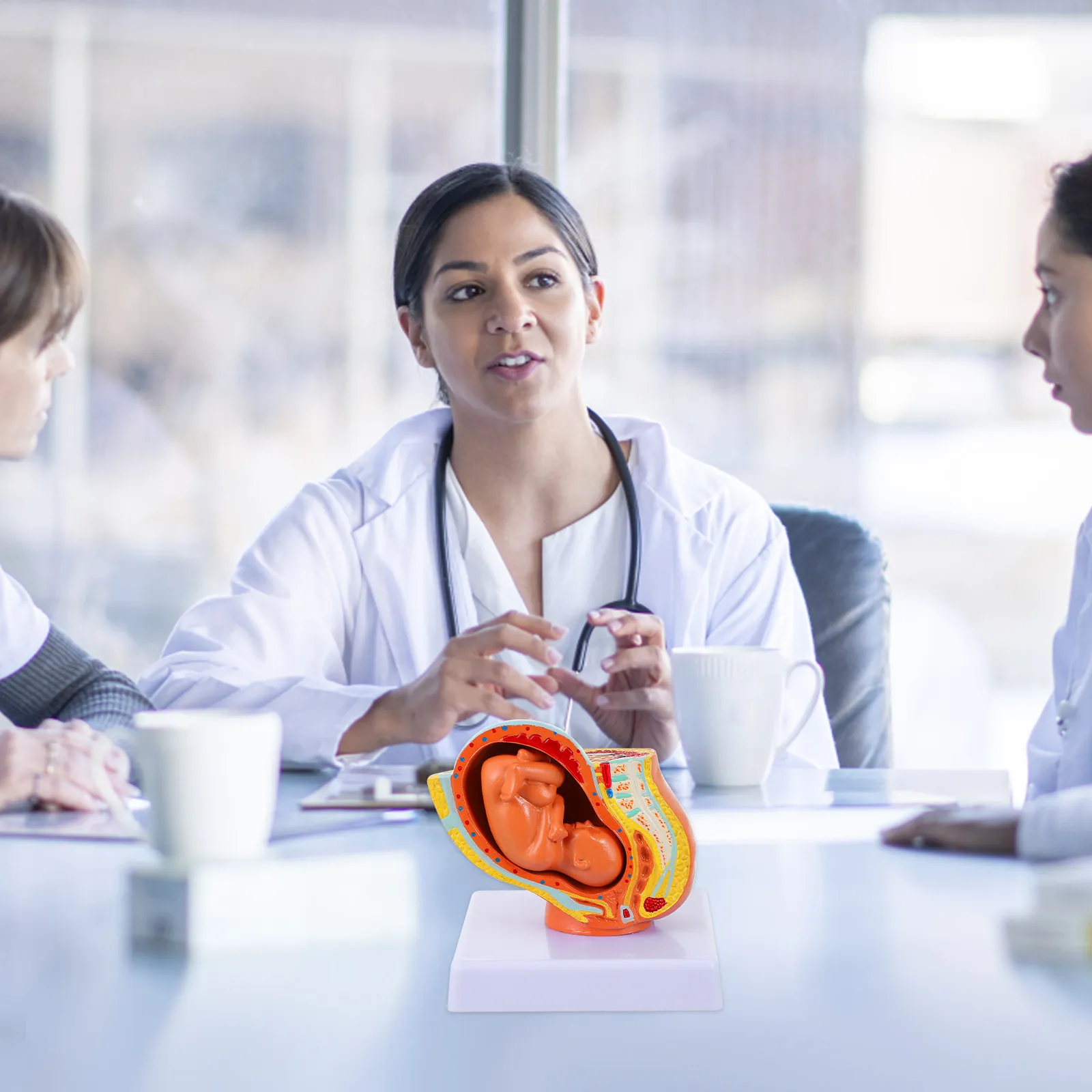 

Учебная модель полноразмерного плода и матки (1 шт.) для медицинских вузов, сестринского дела и медицинского образования