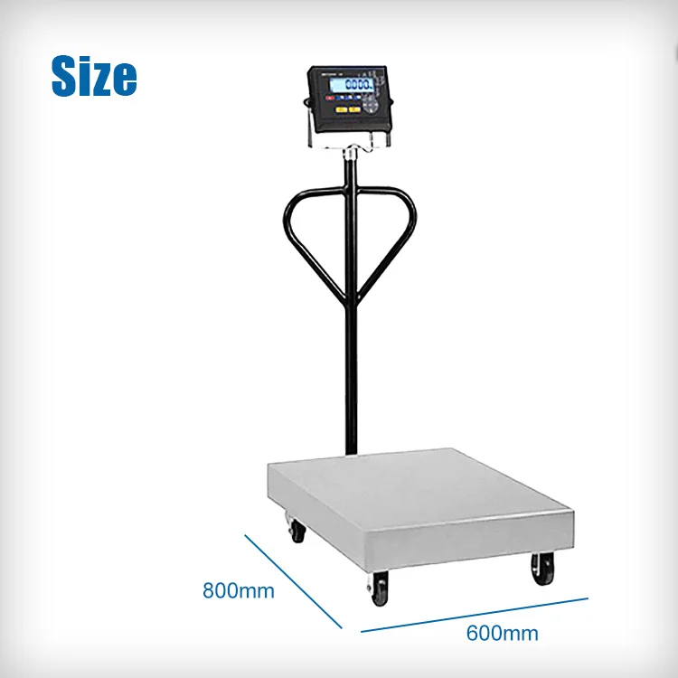 Weight Portable Platform Waterproof Custom Electronic System Steel Calibration Balances 300kg Weighing Label Scale