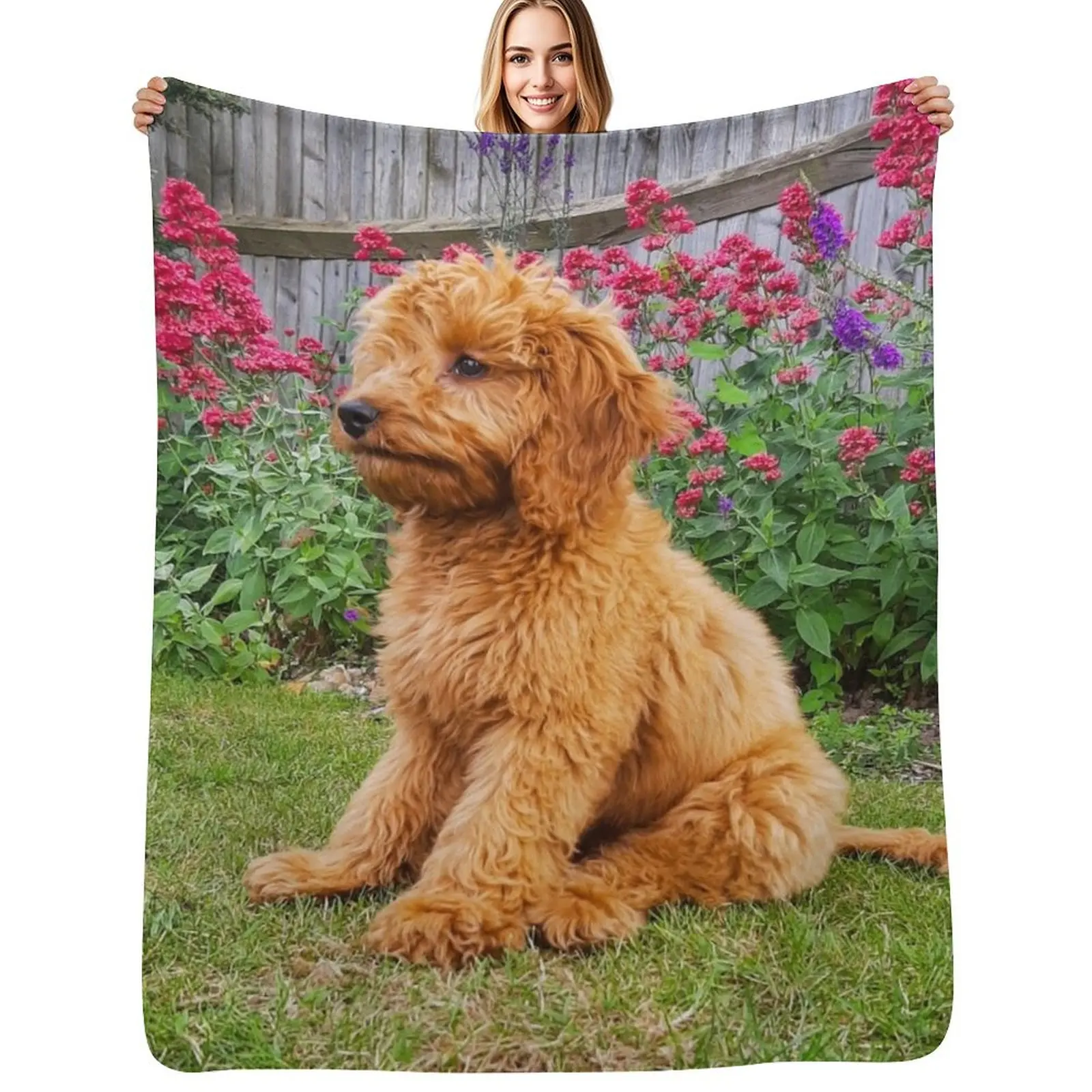 Red Cockapoo Puppy Throw Blanket Hair Quilt decorative Flannel Extra Large Throw Giant Sofa Blankets