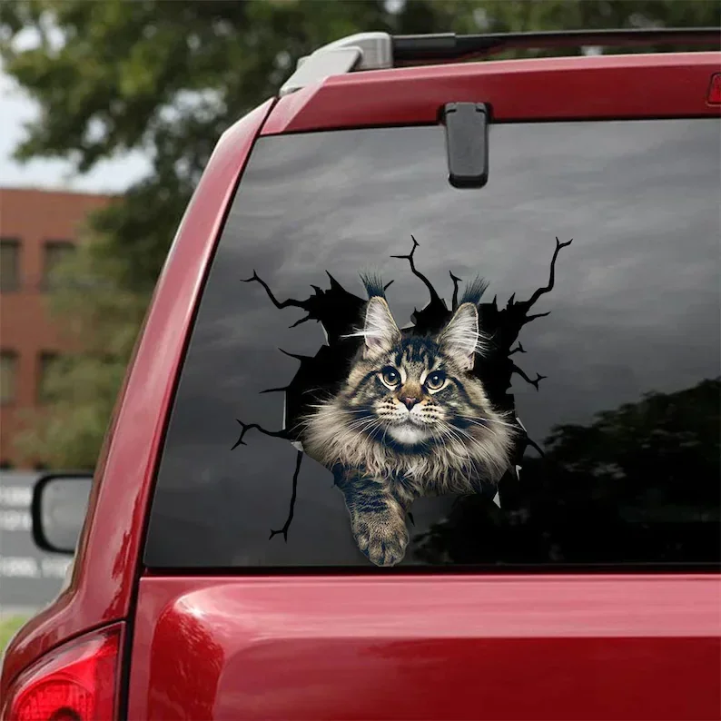 Maine Coon Cat Decal - fits cars,Windows,Laptops and any smooth surface, Maine Coon Cat Stickers, Pet Stickers, Custom Cat Stick