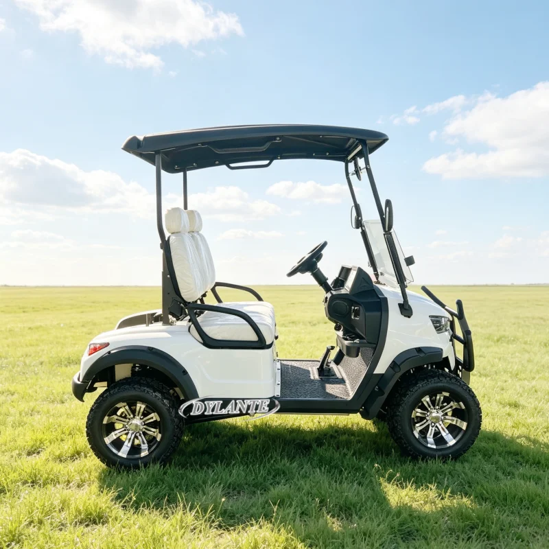 CE 2 Passenger Lightweight Electric Golf Car Solar Panel Optional Lithium Golf Buggy Factory Direct for Mini Golf Course