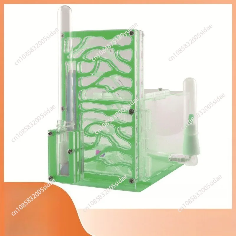 Global Moisturizing Acrylic Ant Nest for Pet Ants with Unique Design and High Humidity