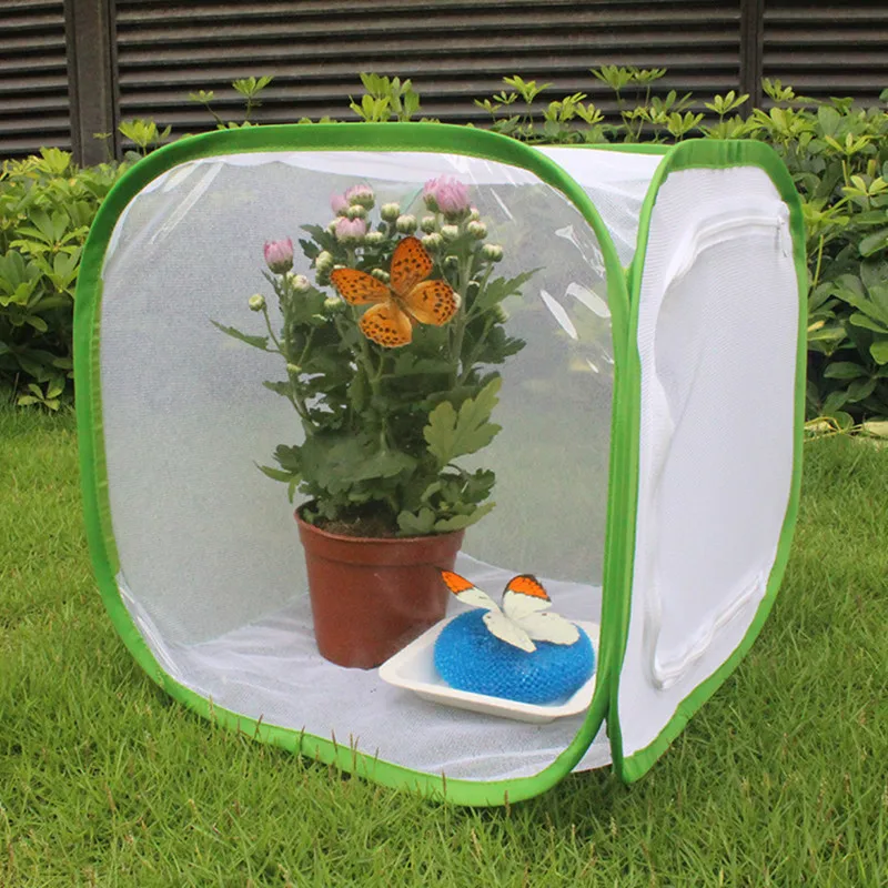 Zusammenklappbarer Insektenkäfig aus Netzstoff für Vögel, Schmetterlinge, Gottesanbeterinnen, Zucht von Heuschrecken, Kokons und Seidenraupen – Detail 11