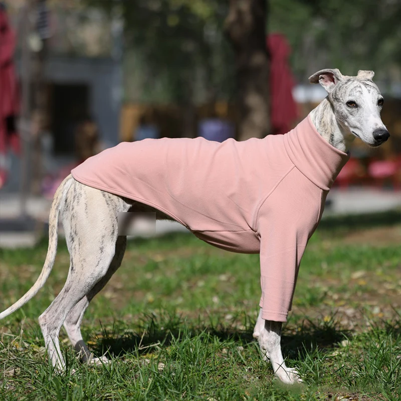 

Spring Autumn Dog Vest Jacket Large Dogs Whippet Italian Greyhound Doberman Clothes Dog Turtleneck 2-legged Hoodies