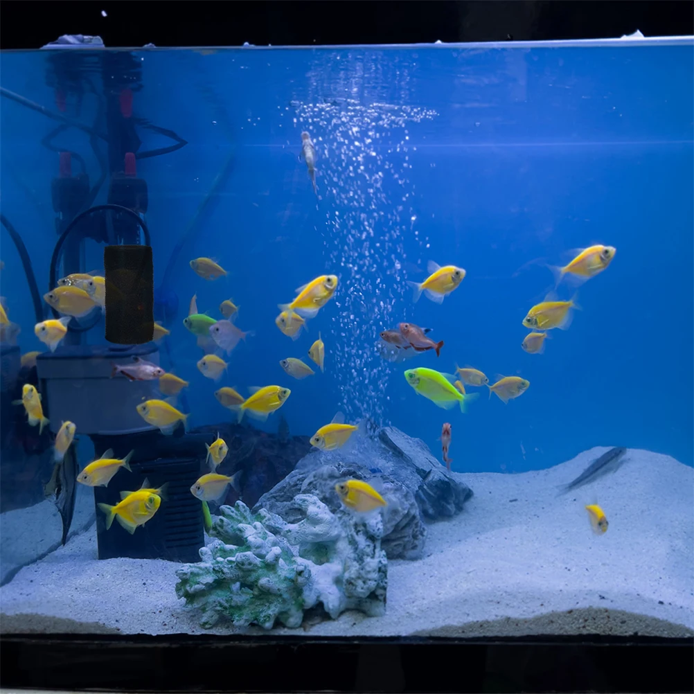 

10pcs Filter Protective Cover Corner Sponge Fish Tank Pond Multifunctional Design Prevents Blockage Aquarium Accessories