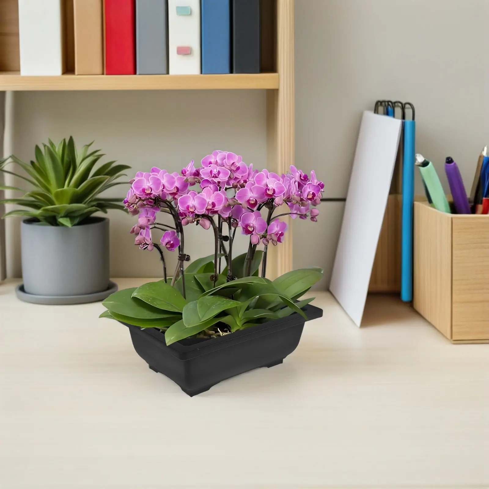 12pcs Vintage Rectangular Plastic Planter Pots for Bonsai, Succulents & Indoor Balcony Garden