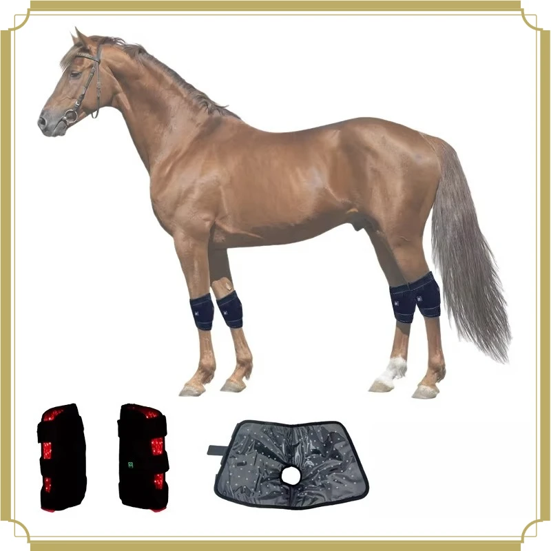New Design Equine Red Light Therapy Knee Wrap 660nm 850nm Horse Knee Pain Relief Phototherapy Equipment
