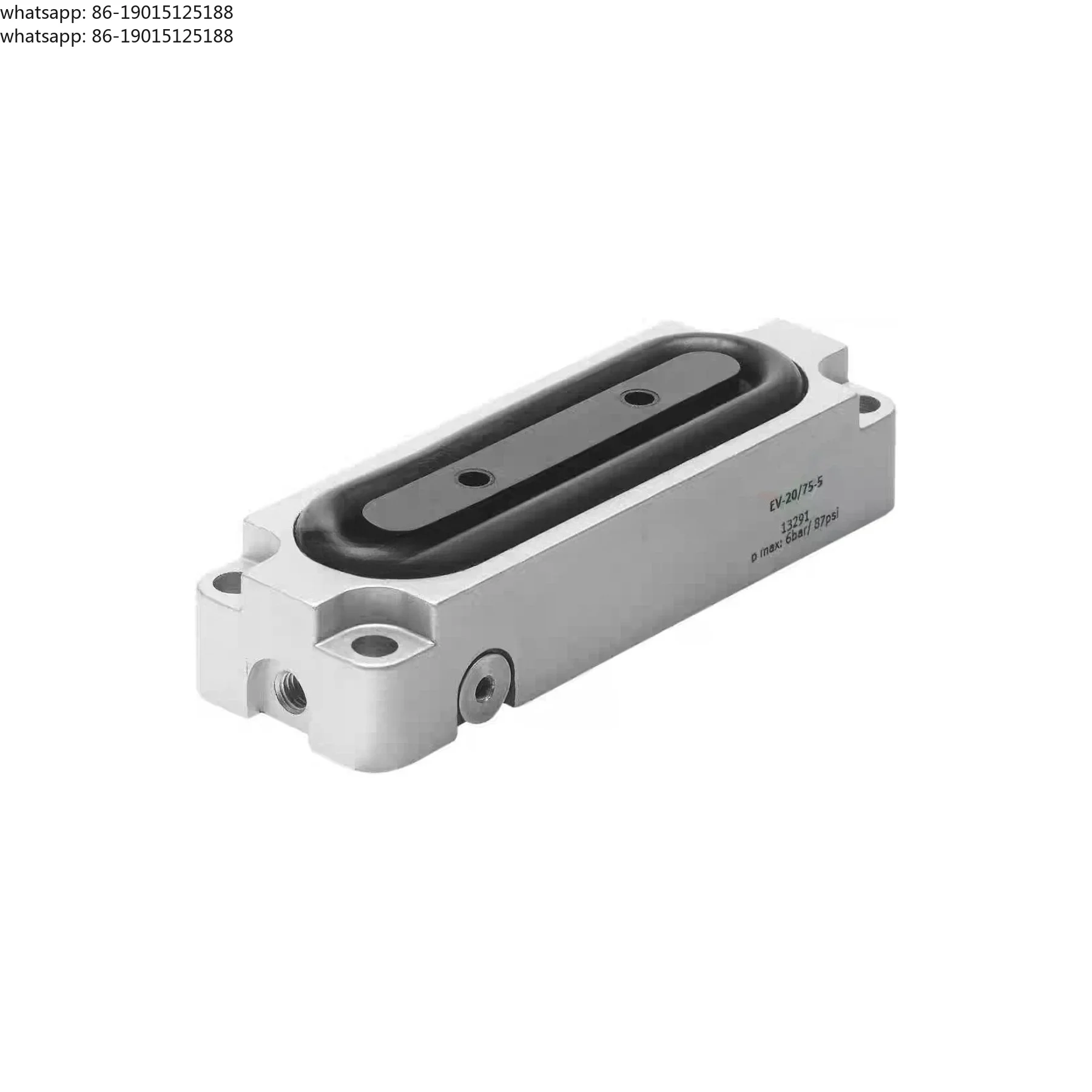 NEW  EV-10/30-3151993   EV-15/40-413289    EV-15/63-413290    EV-20/75-513291/513292/513293   Diaphragm clamping cylinder