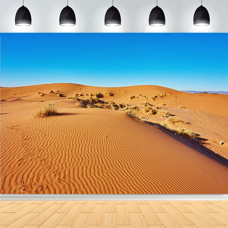 Scenic Sahara Desert Sunlight Sky Photography Backdrops Morocco Africa Landscape Sunset Sand Dune With Bushes Background DS-01