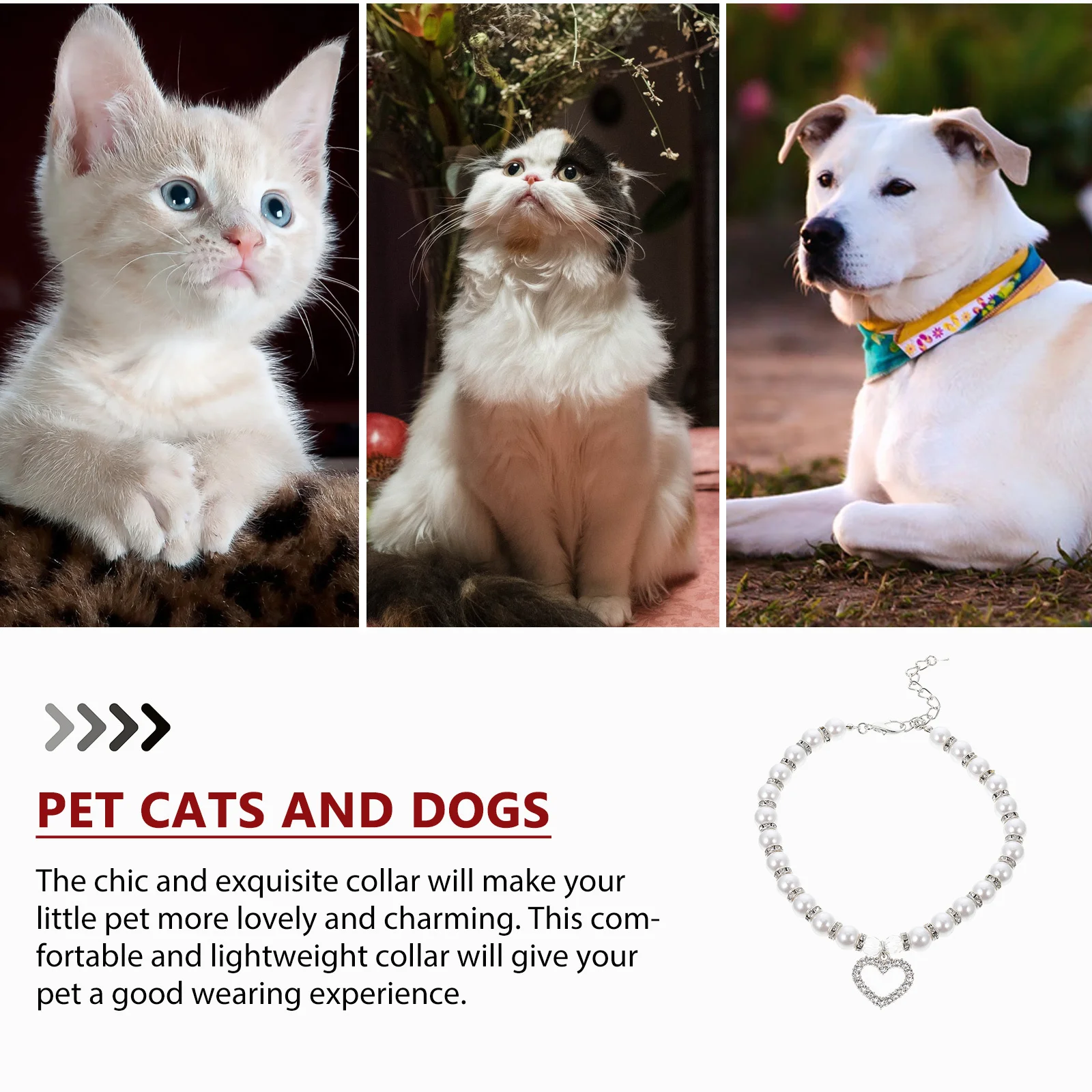 

Dog Collar With White Pearl For Puppy Pet Lightweight Durable Eco-Friendly Necklace Accessory Gift Puppy Collar Pet