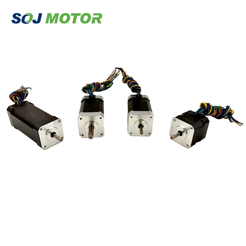 S42BL101-240-005D Factory Direct Brushless DC Motor High Quality 12v 48v 24v 4000rpm Global Sales Silky Permanent Magnet