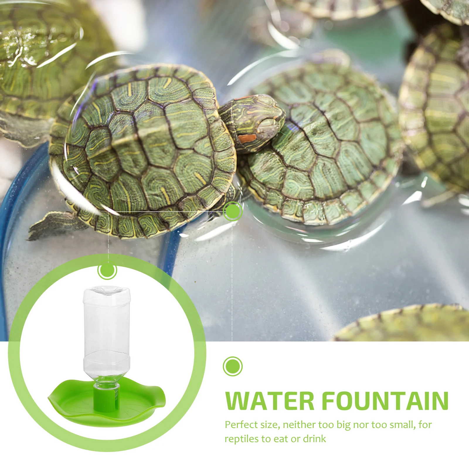 

1Pcs Reptile Water Bowl Simple Design Removable Bottle No Power Required for Tortoise Lizard Pet Fountain Automatic Feeder
