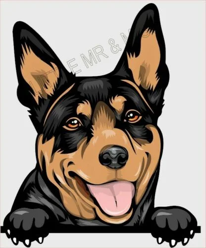 For AUSTRALIAN KELPIE Peeking Dog Breed Colour Window Wall Laptop Sticker