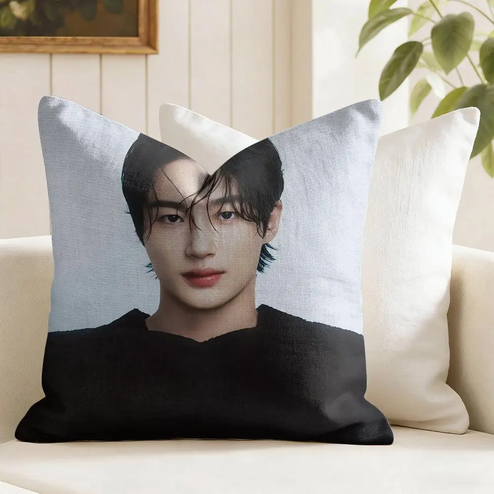 B-Byeon W-Woo-seok Korea Cushion Cover Eco Linen Pillow Case Double-Sided Print Breathable Durable Zipper Home Decor Gift