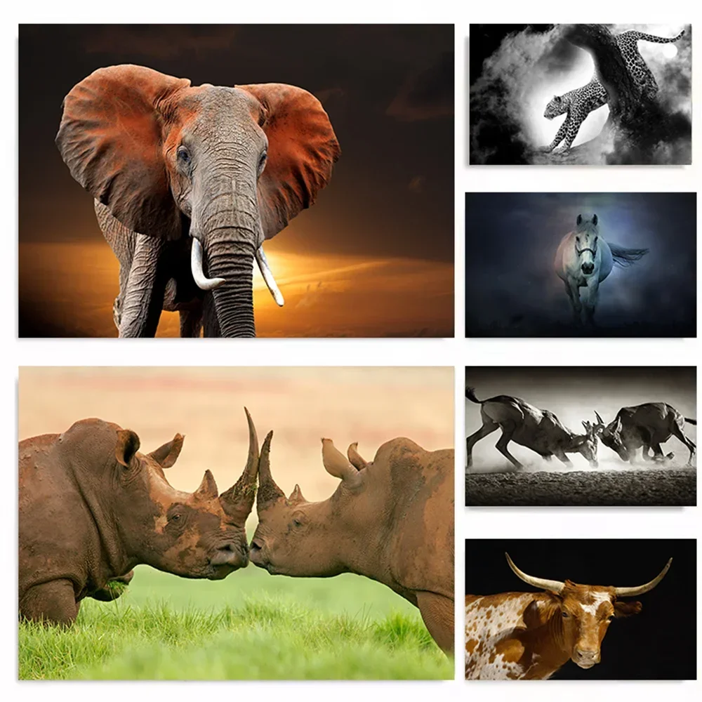Modern Art Animals Elephant Rhino Wild Horse Black and White Picture Canvas Painting Home Room Decoratio