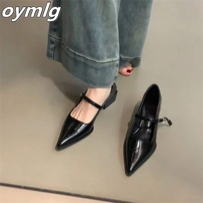 Czarne grube obcasy buty Mary Jane buty damskie 2024 nowe wszechstronne szpiczaste buty na wysokim obcasie płytkie buty dojazdowe