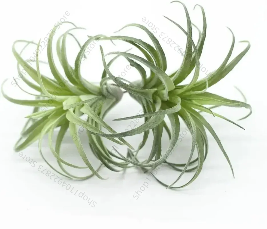 2 uds flocado Artificial plantas de aire de Tillandsia suculentas de imitación Bromeliads (pequeño)