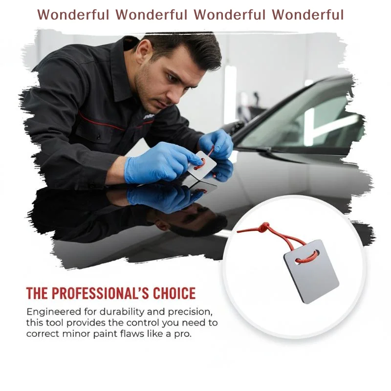 Automotive Polishing Scraper Car Surface Repair Tool Point Dust Remover for Detailing and Restoration Project