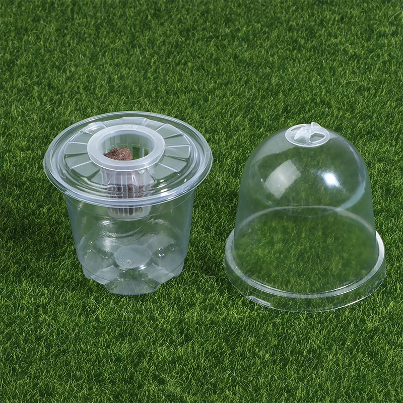 1/5Pcs Clear Visible Plant Growing Cup Plastic Seed Starter Germination Box Mini Tray For Indoor Household Garden Sowing