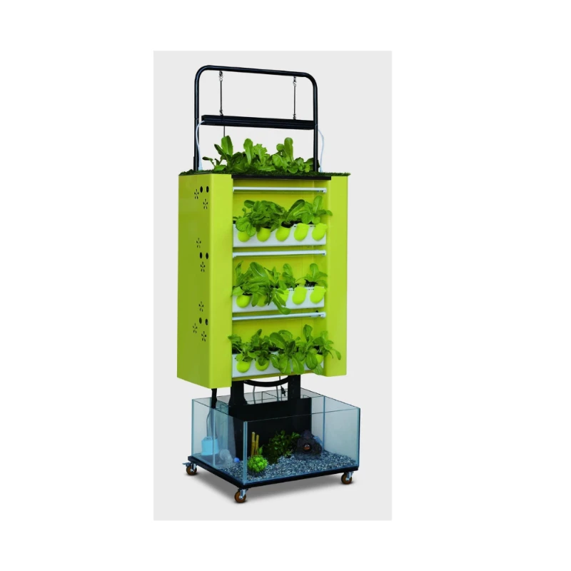 Garden Growing Aquaponics Fish Tank